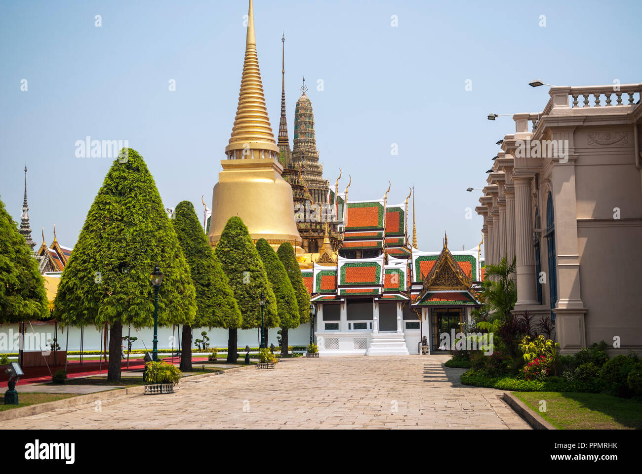 Alberi conici sul percorso per il Phra Si Ratana Chedi, il Grand Palace, Bangkok, Thailandia Foto Stock
