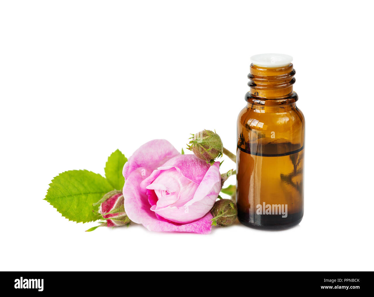 Flacone scuro con rose olio essenziale e rosa rosa fiore isolato su uno sfondo bianco Foto Stock