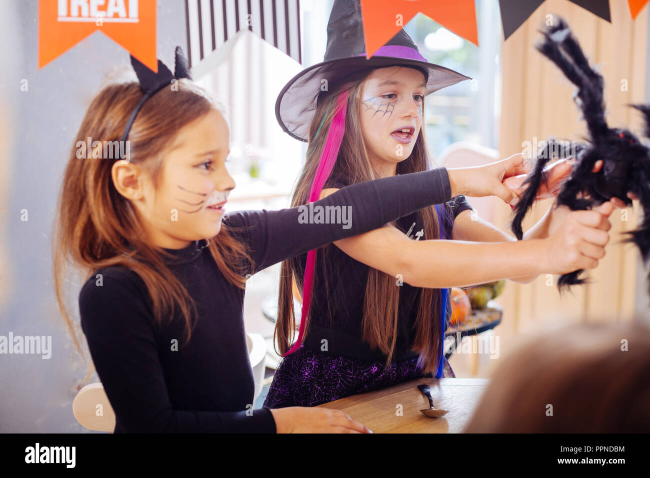 Due ragazze che indossano costumi di Halloween a giocare con il nero scary Ragno giocattolo Foto Stock