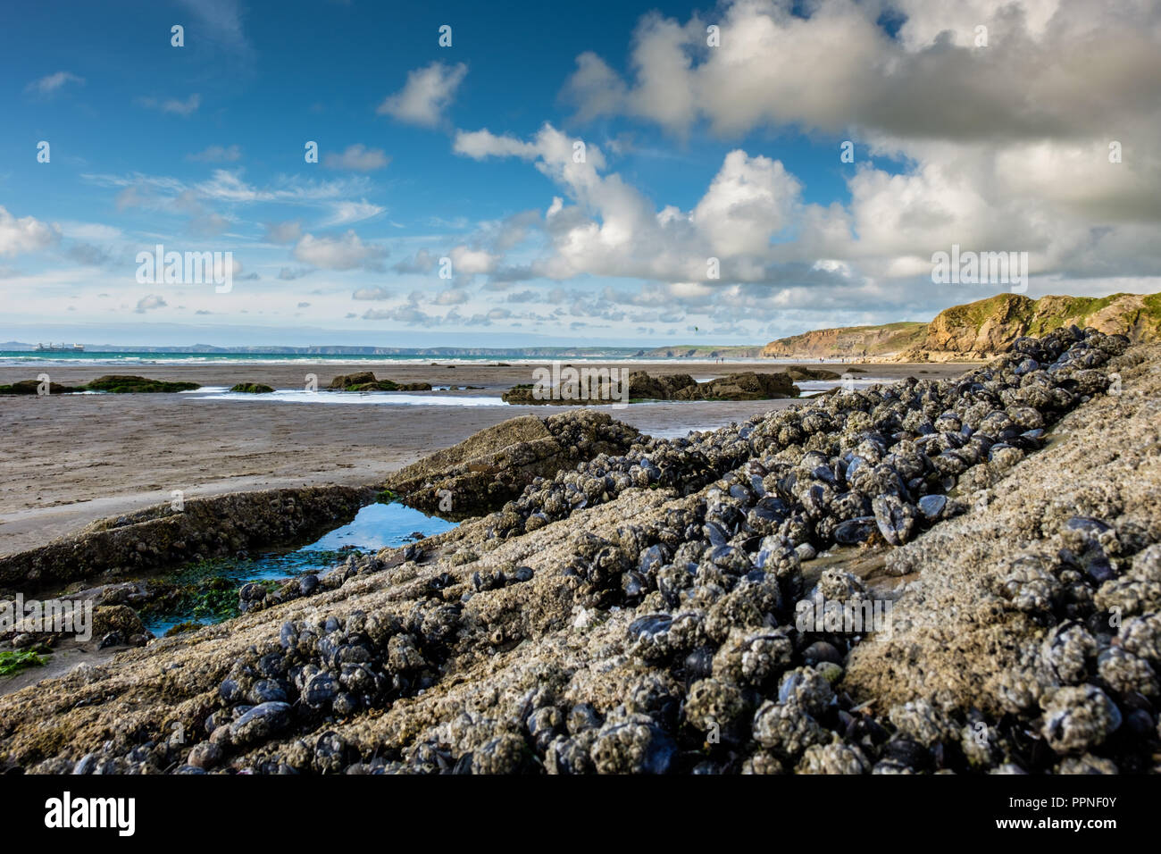 La spiaggia di Little Haven, Pembrokeshire, Galles Foto Stock