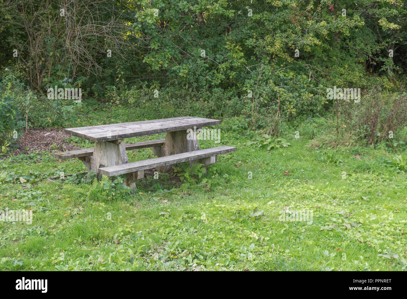 Panca da picnic pubblica/comunitaria al sole d'autunno. Per riunioni del banco di sosta. Foto Stock