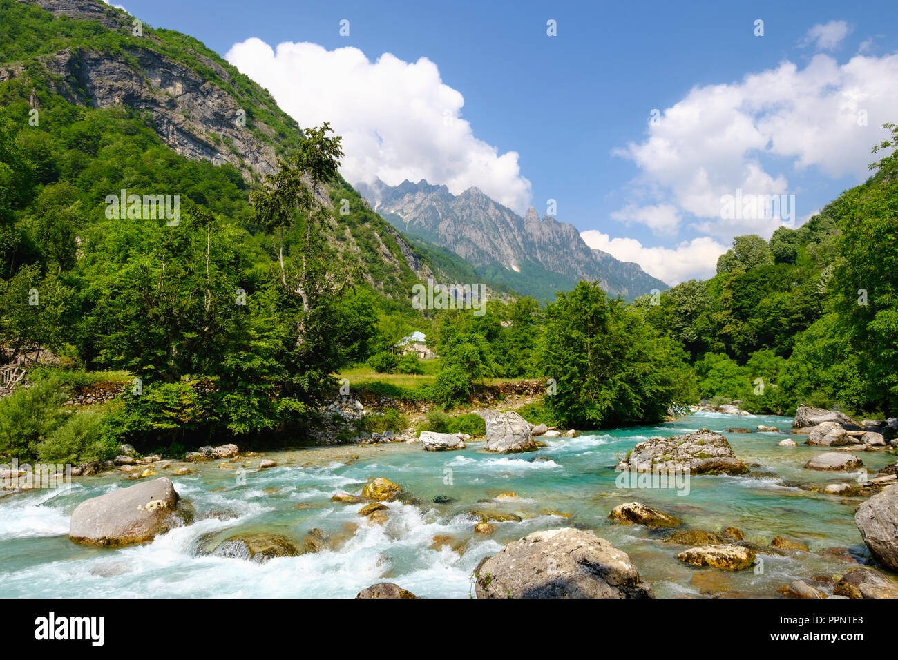 Fiume Valbona, Valbona Valle, Valbona National Park, Alpi Albanesi, Prokletije, Qar Kukes, Albania Foto Stock