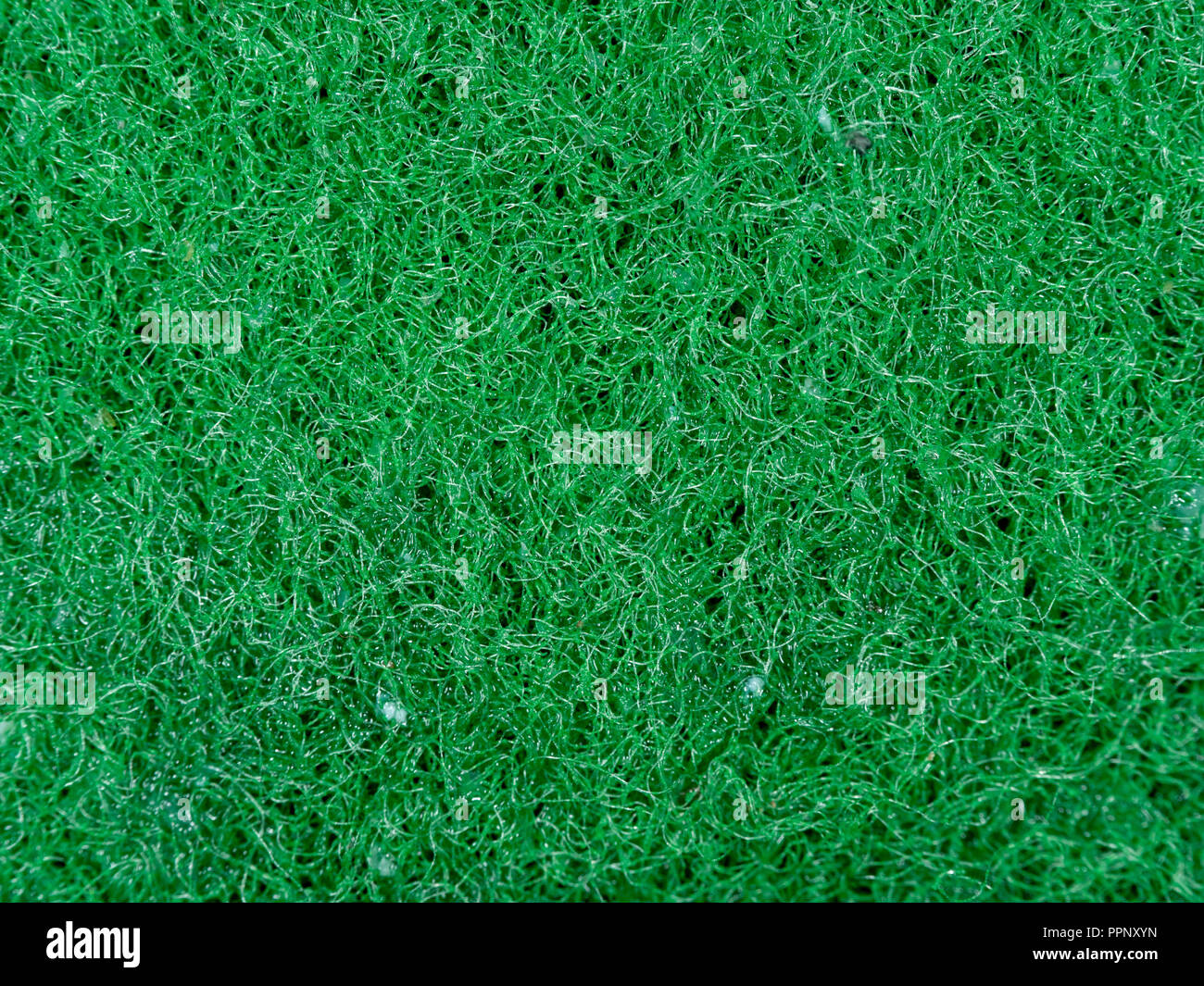 Spugna verde sullo sfondo di texture Foto Stock