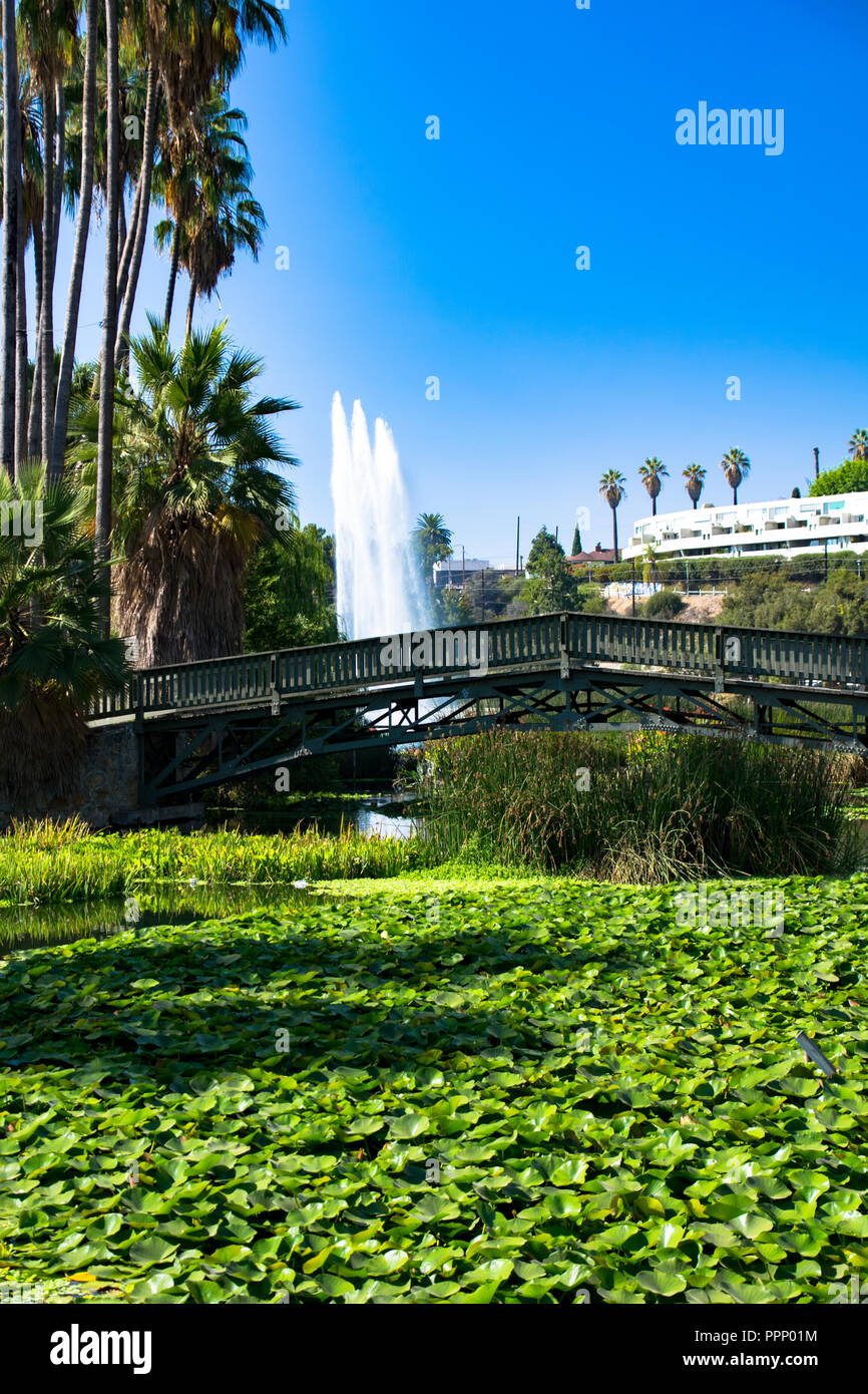 Fontana a Echo Park Lake con il Los Angeles skyline in background, Echo Park, Los Angeles, California Foto Stock