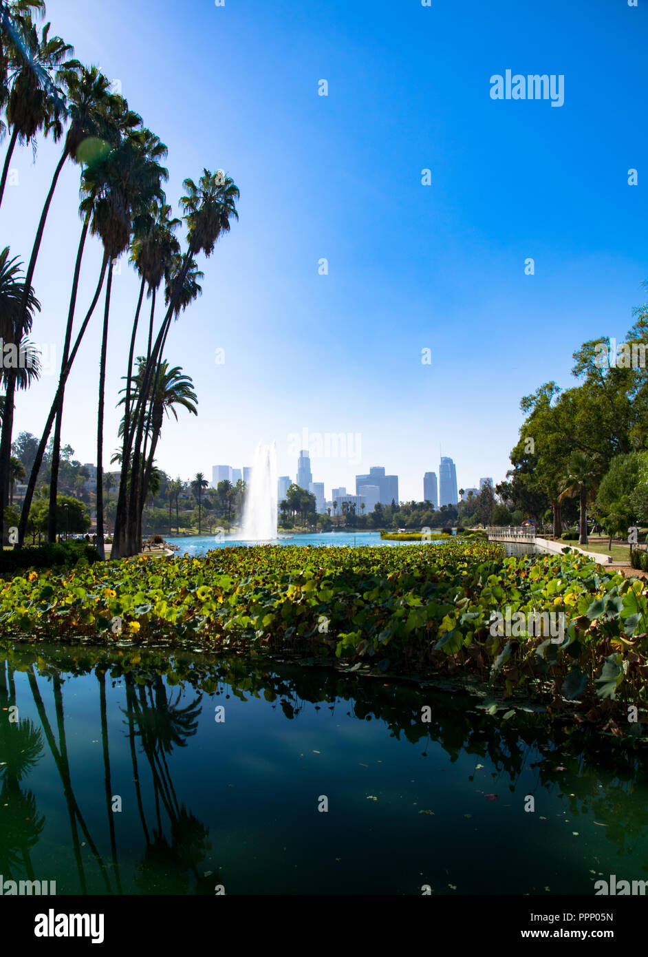 Fontana a Echo Park Lake con il Los Angeles skyline in background, Echo Park, Los Angeles, California Foto Stock