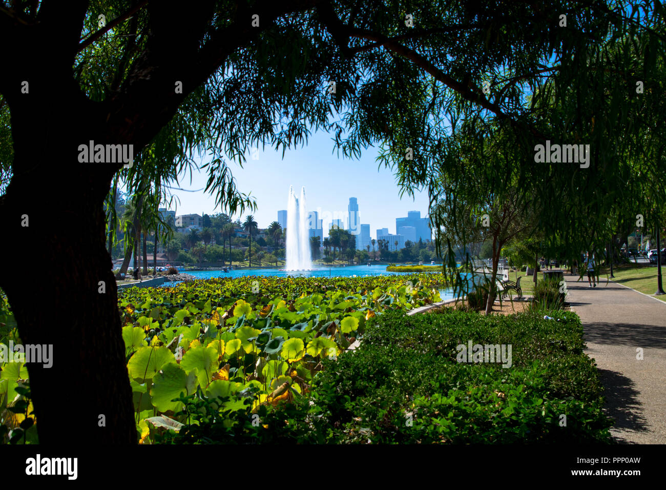 Fontana a Echo Park Lake con il Los Angeles skyline in background, Echo Park, Los Angeles, California Foto Stock