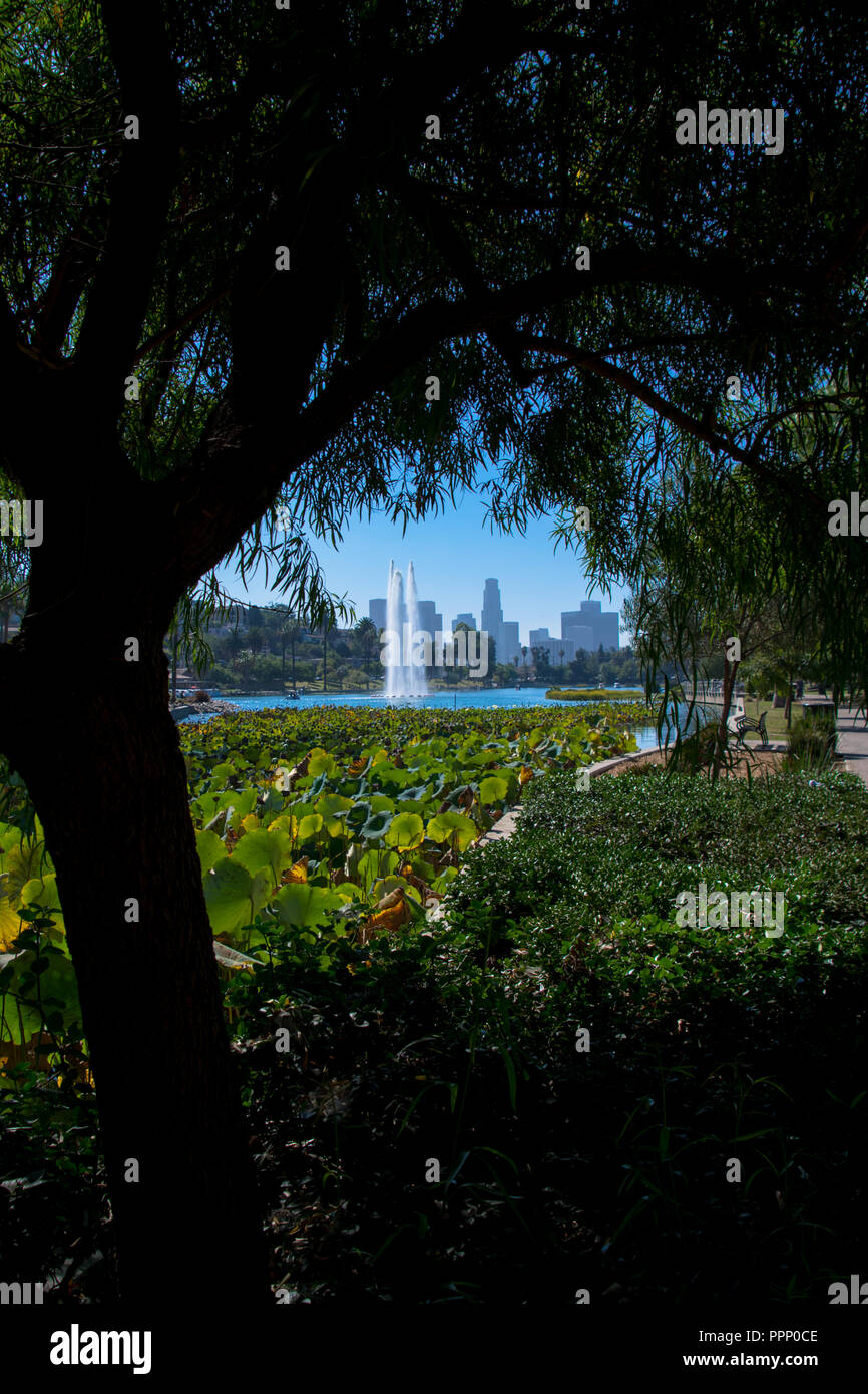 Fontana a Echo Park Lake con il Los Angeles skyline in background, Echo Park, Los Angeles, California Foto Stock