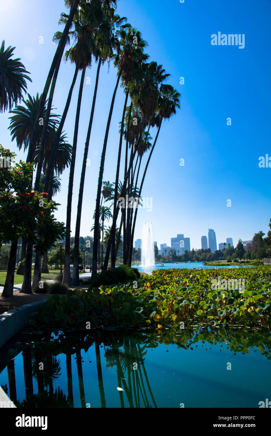 Fontana a Echo Park Lake con il Los Angeles skyline in background, Echo Park, Los Angeles, California Foto Stock