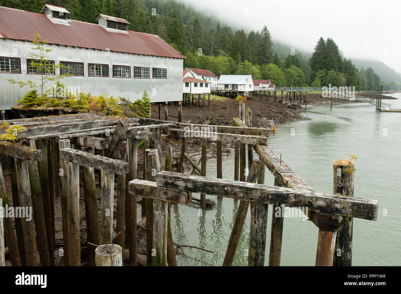 Vista del Nord Pacifico Cannery Museum, Prince Rupert, Columbia Britannica, Canada Foto Stock