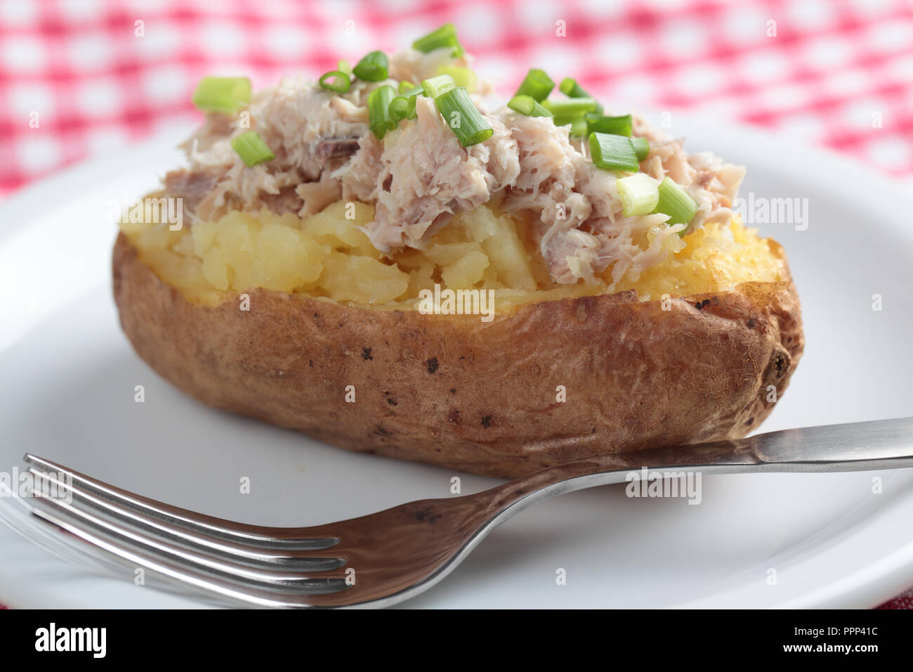 Patate al forno con insalata di tonno e cipolla verde sulla piastra bianca Foto Stock