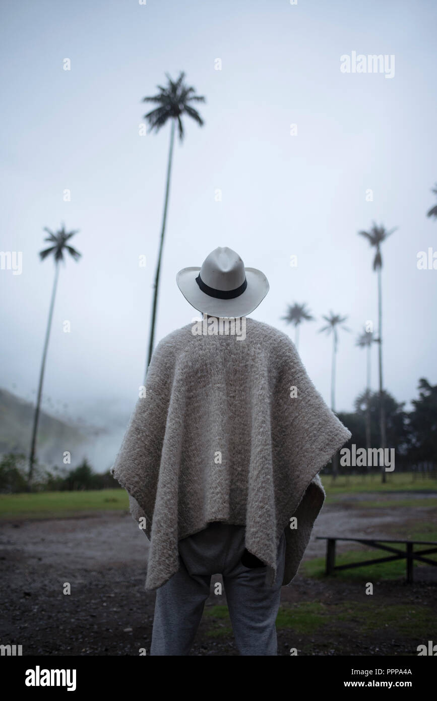 Uomo colombiano da dietro indossando un tradizionale ruana con cappello di  Panama guardando l'iconica Quindío palme da cera in Cocora Valley, Colombia.  Sep 2018 Foto stock - Alamy