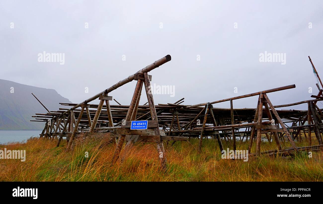 Pesce vecchio rack di asciugatura in Flateyri, Westfjords, Islanda Foto Stock