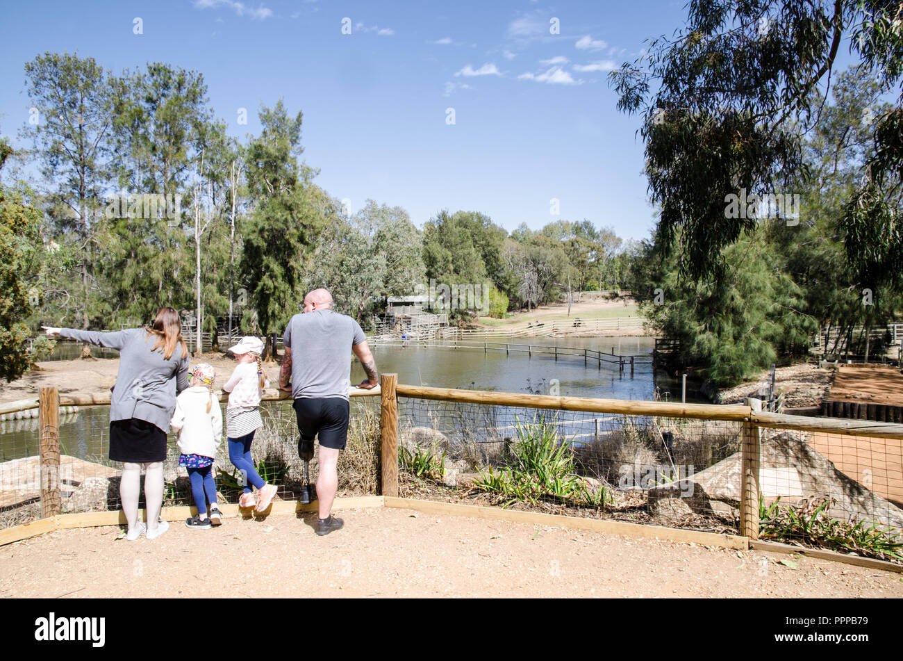 Una famiglia in cerca di un ippopotamo a Dubbo Zoo,NSW Australia. Foto Stock