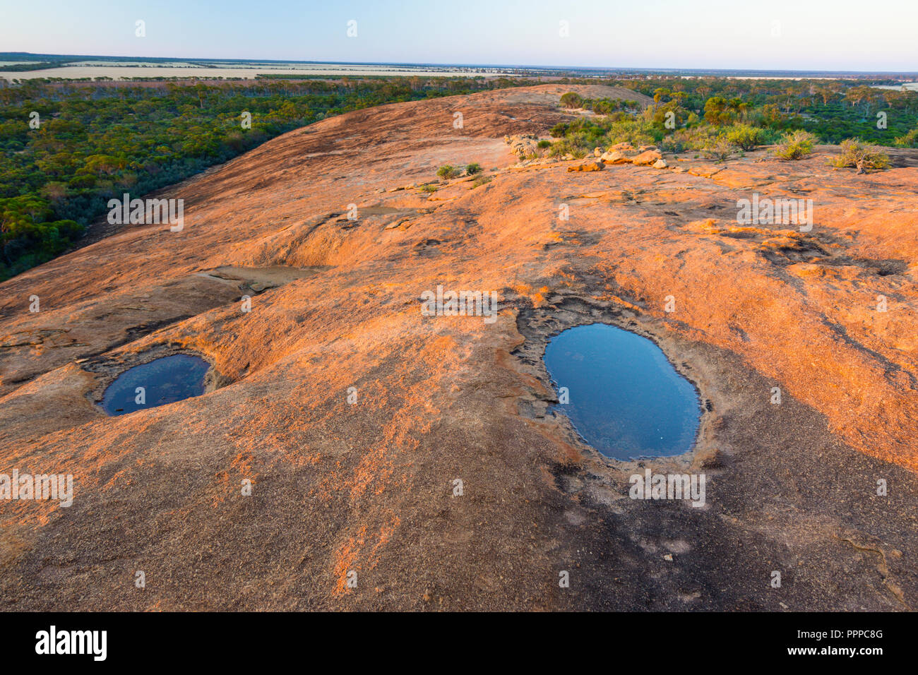 L'acqua intrappolata in piccole depressioni sulla sommità della roccia Elachbutting Australia Occidentale Foto Stock