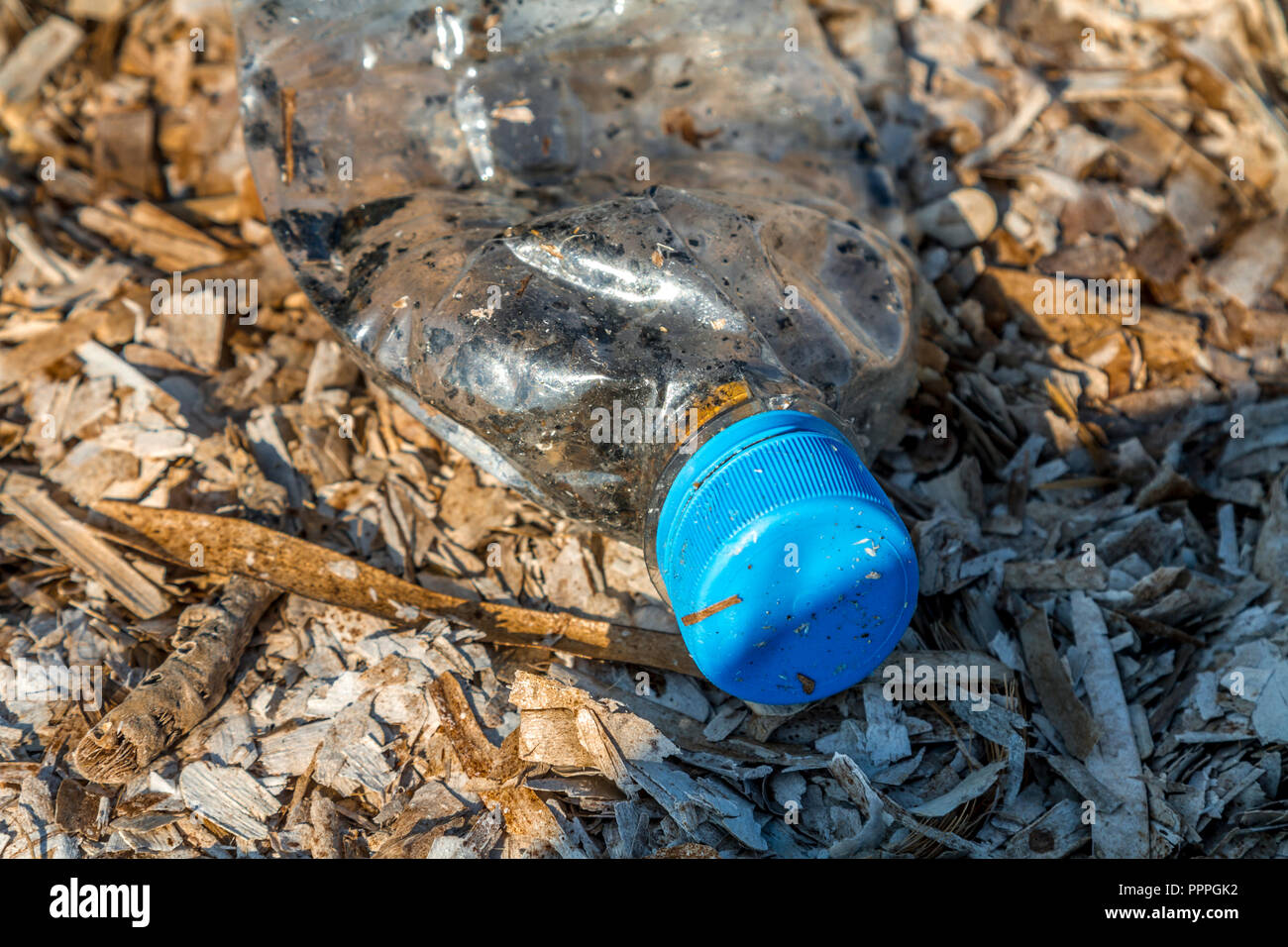 Scartato in plastica della bottiglia di PET con parte superiore blu giacente su un letto di alghe a secco sul litorale causando ambientale inquinamento in plastica Foto Stock