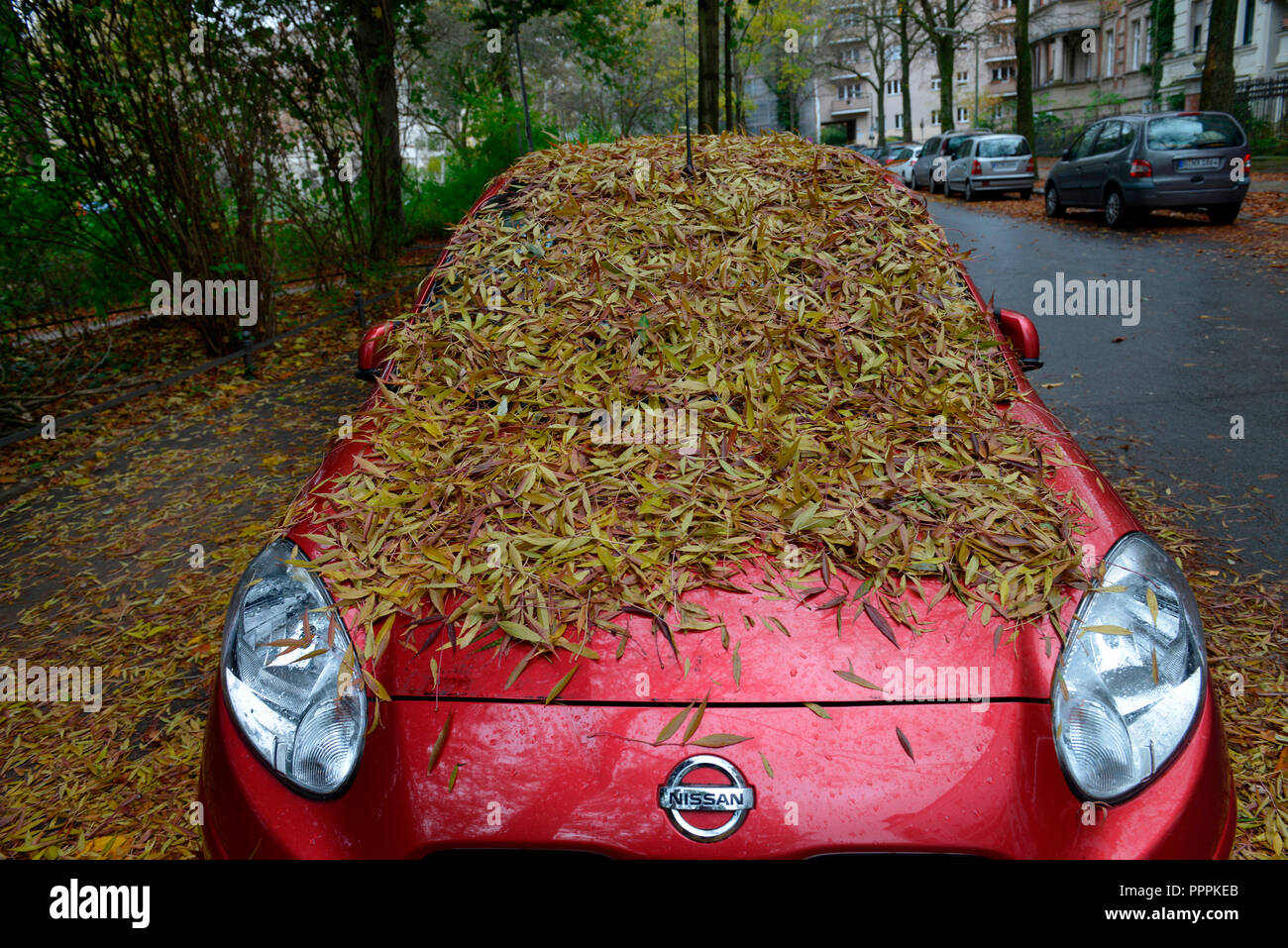 Fogliame di autunno su auto Foto Stock