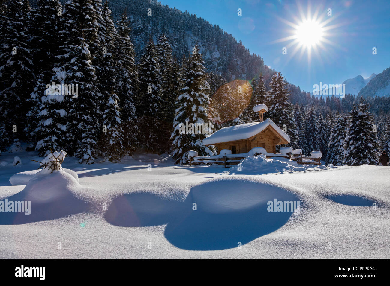 Krimml, Wilkdgerlos Valley, Salzburger Land, Austria Foto Stock