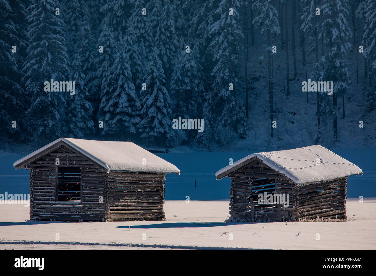 Inverno mattina, Untersulzbachtal, Neukirchen, Salzburger Land, Austria Foto Stock