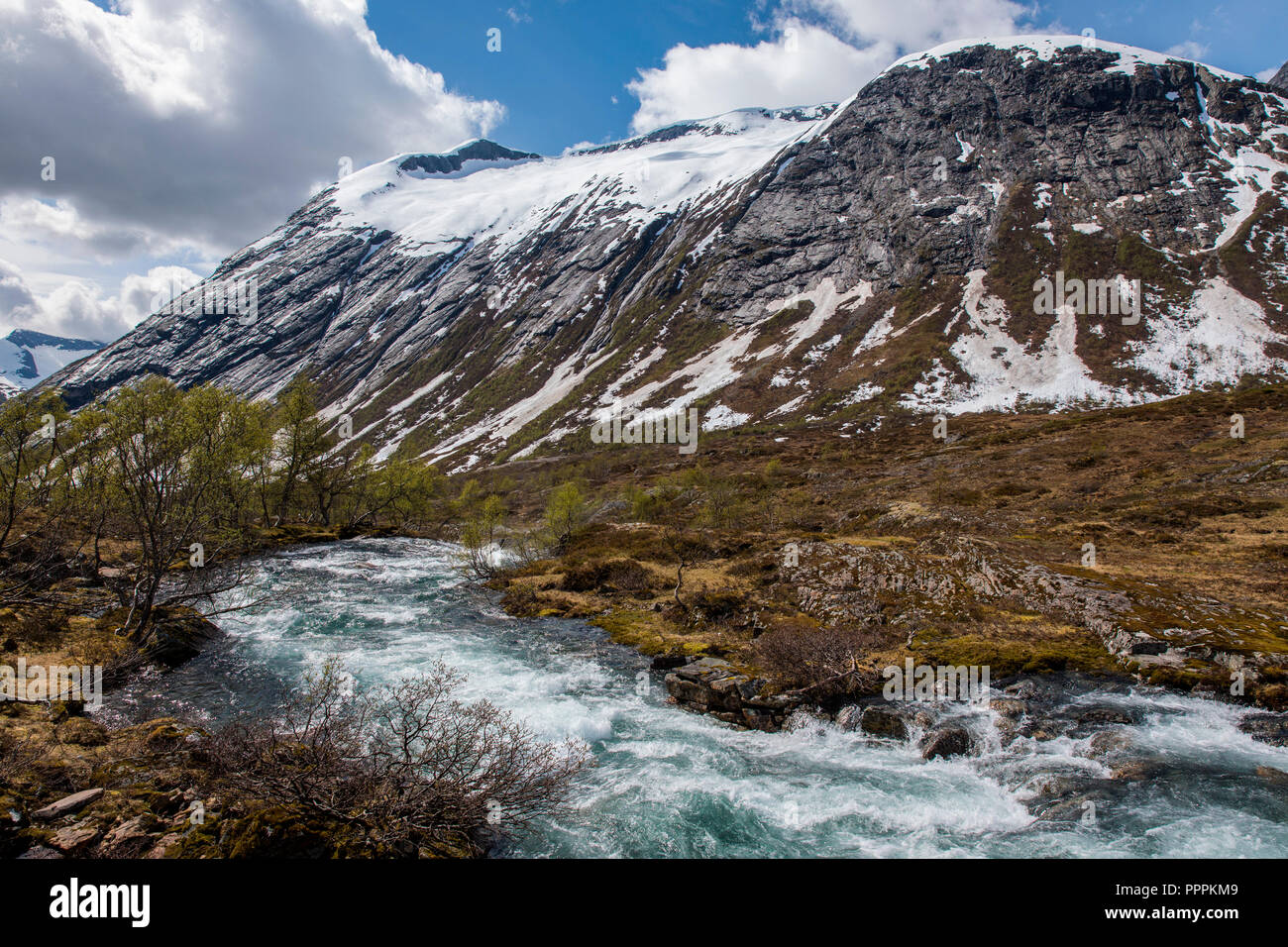 Paesaggio di montagna, Strynevegen, Sogn og Fjordane, Norvegia Foto Stock