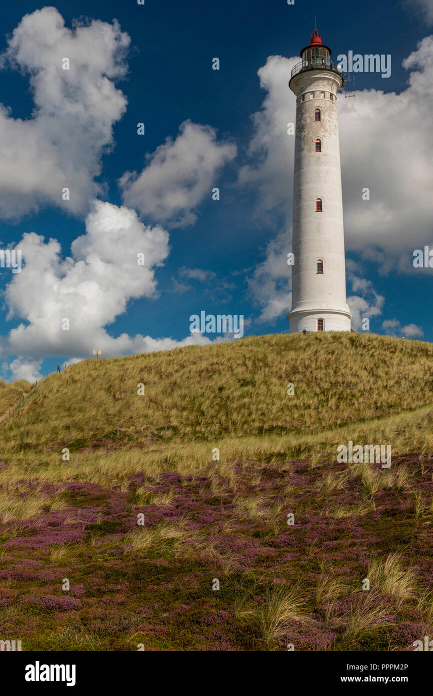 Lyngvig faro, Hvide Sande, Jylland, Danimarca Foto Stock