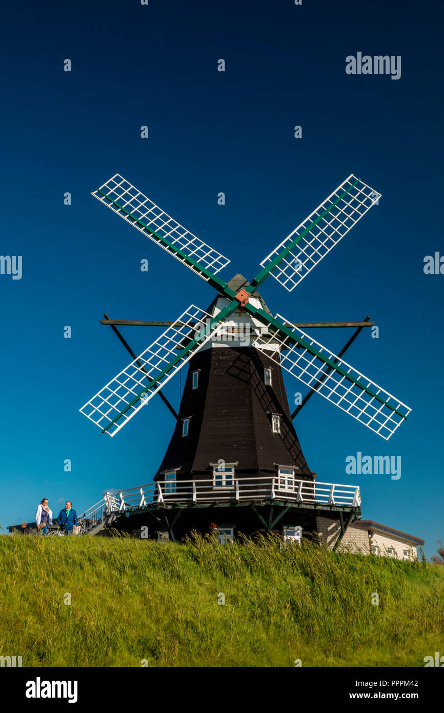 Il mulino a vento, Pellworm, Nordfriesland, Schleswig-Holstein, Germania Foto Stock