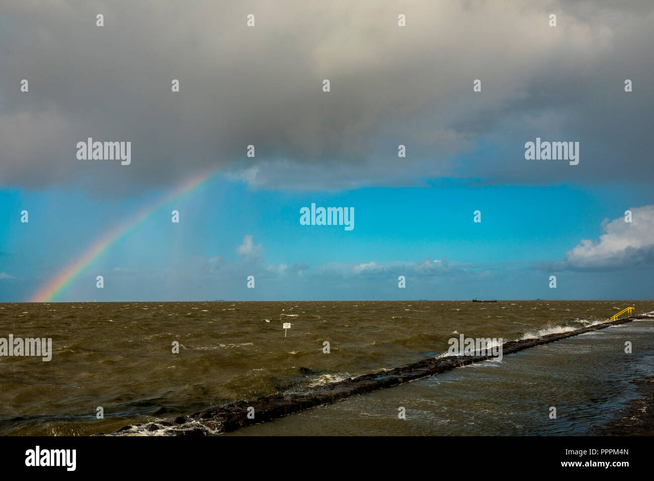Rainbow, Hamburger Hallig, Nordfriesland, Schleswig-Holstein, Germania Foto Stock