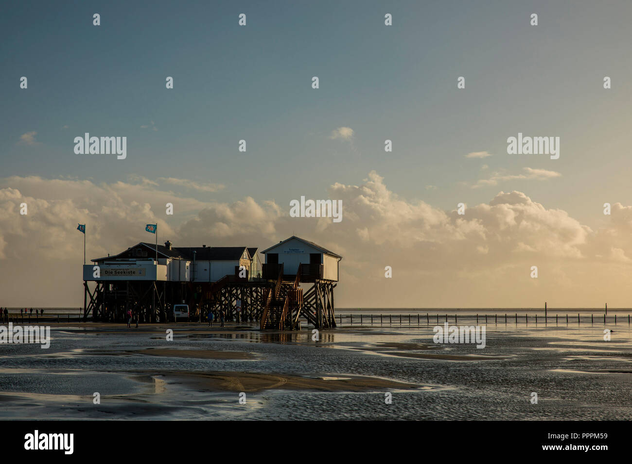 Casa elevata, St.Peter Ording, Nordfriesland, Schleswig-Holstein, Germania Foto Stock