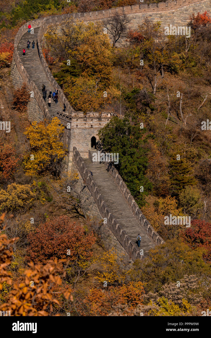 Grande Muraglia cinese, Mutianyu, Beijing Shi, Cina Foto Stock