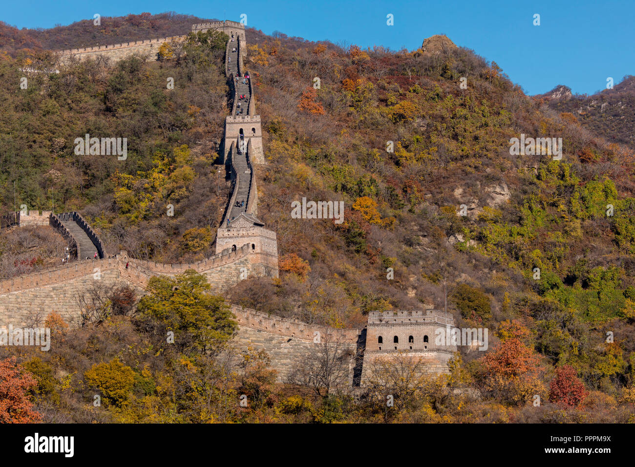 Grande Muraglia cinese, Mutianyu, Beijing Shi, Cina Foto Stock