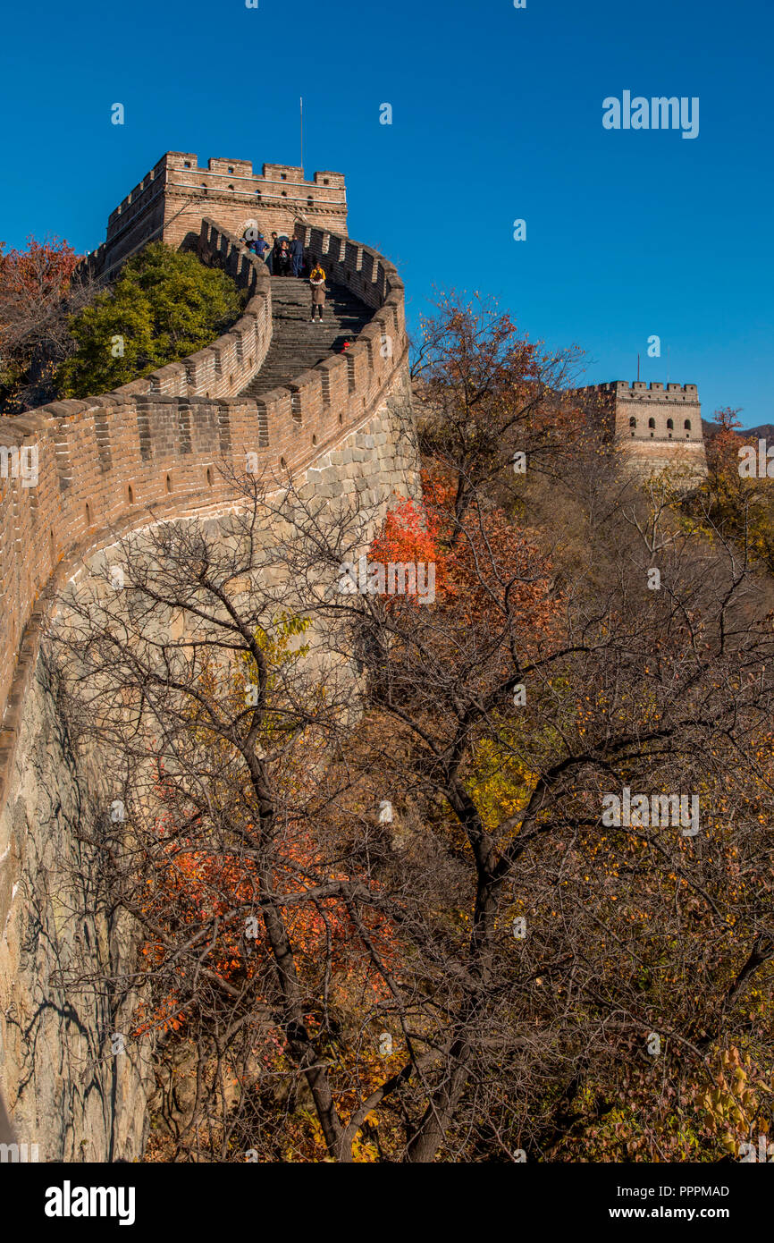 Grande Muraglia cinese, Mutianyu, Beijing Shi, Cina Foto Stock