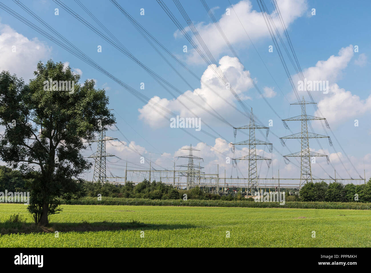 Le linee di alta tensione, Poeppinghausen, Castrop-Rauxel, distretto della Ruhr, Renania settentrionale-Vestfalia, Germania, Pöppinghausen Foto Stock