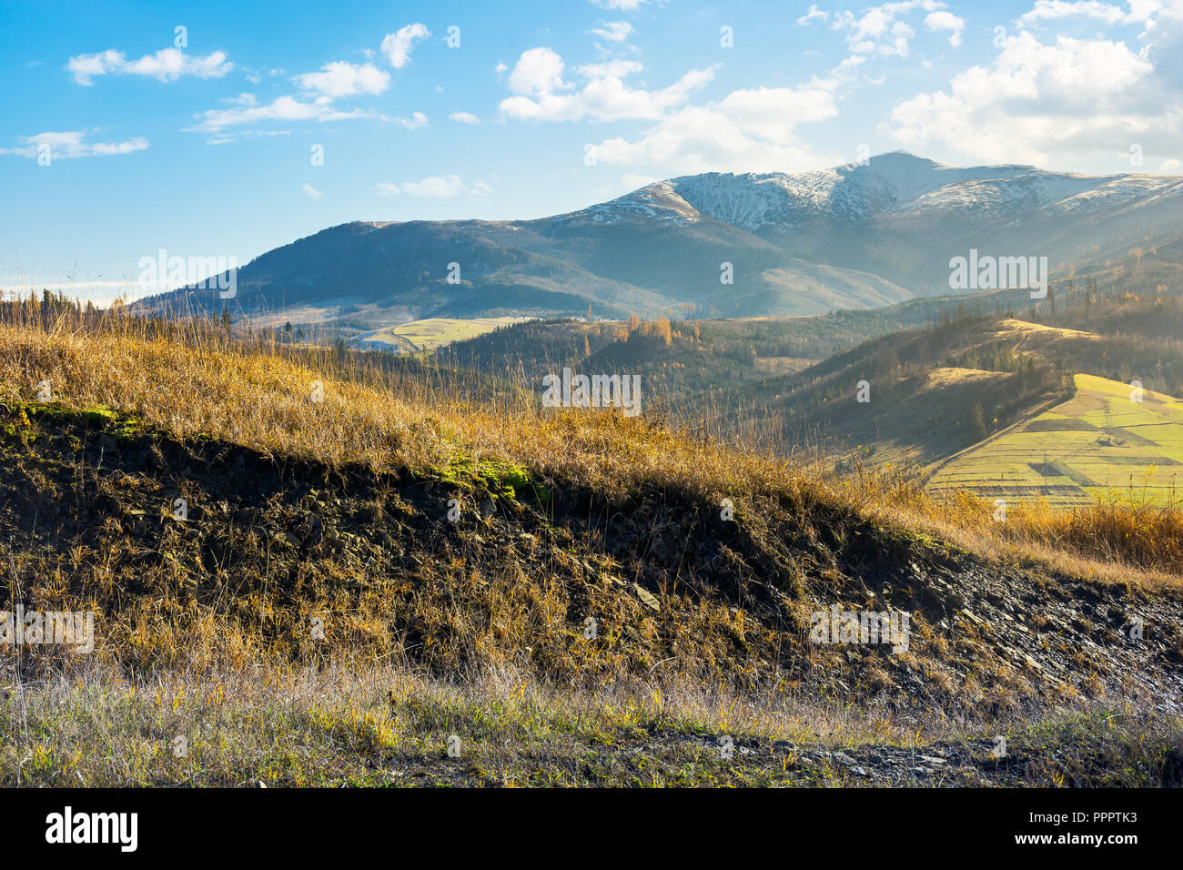 Collina erbosa in autunno le montagne. campagna bella. distante picco nella neve su una luminosa giornata di sole Foto Stock