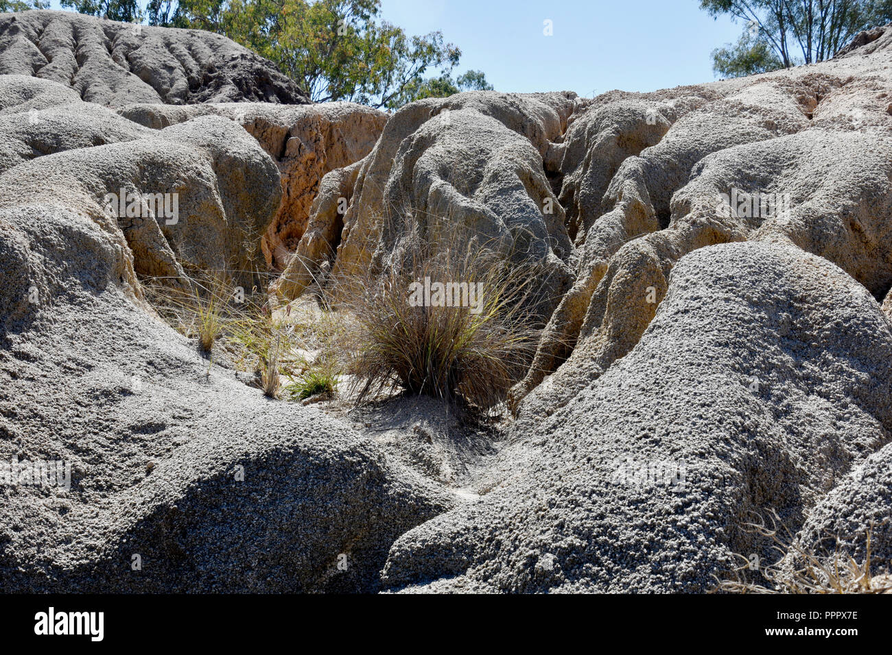 Siccità IN AUSTRALIA Foto Stock