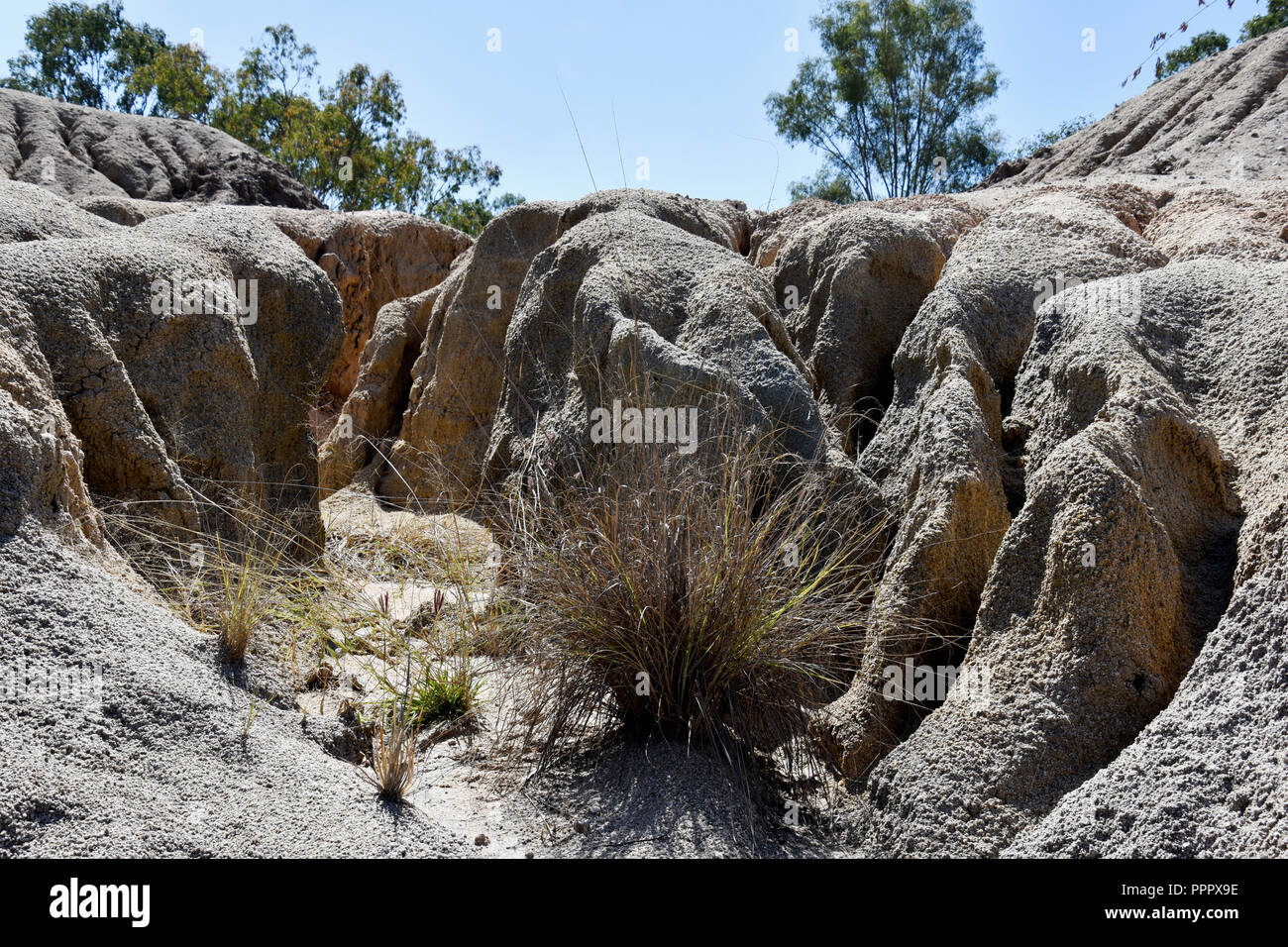 Siccità IN AUSTRALIA Foto Stock