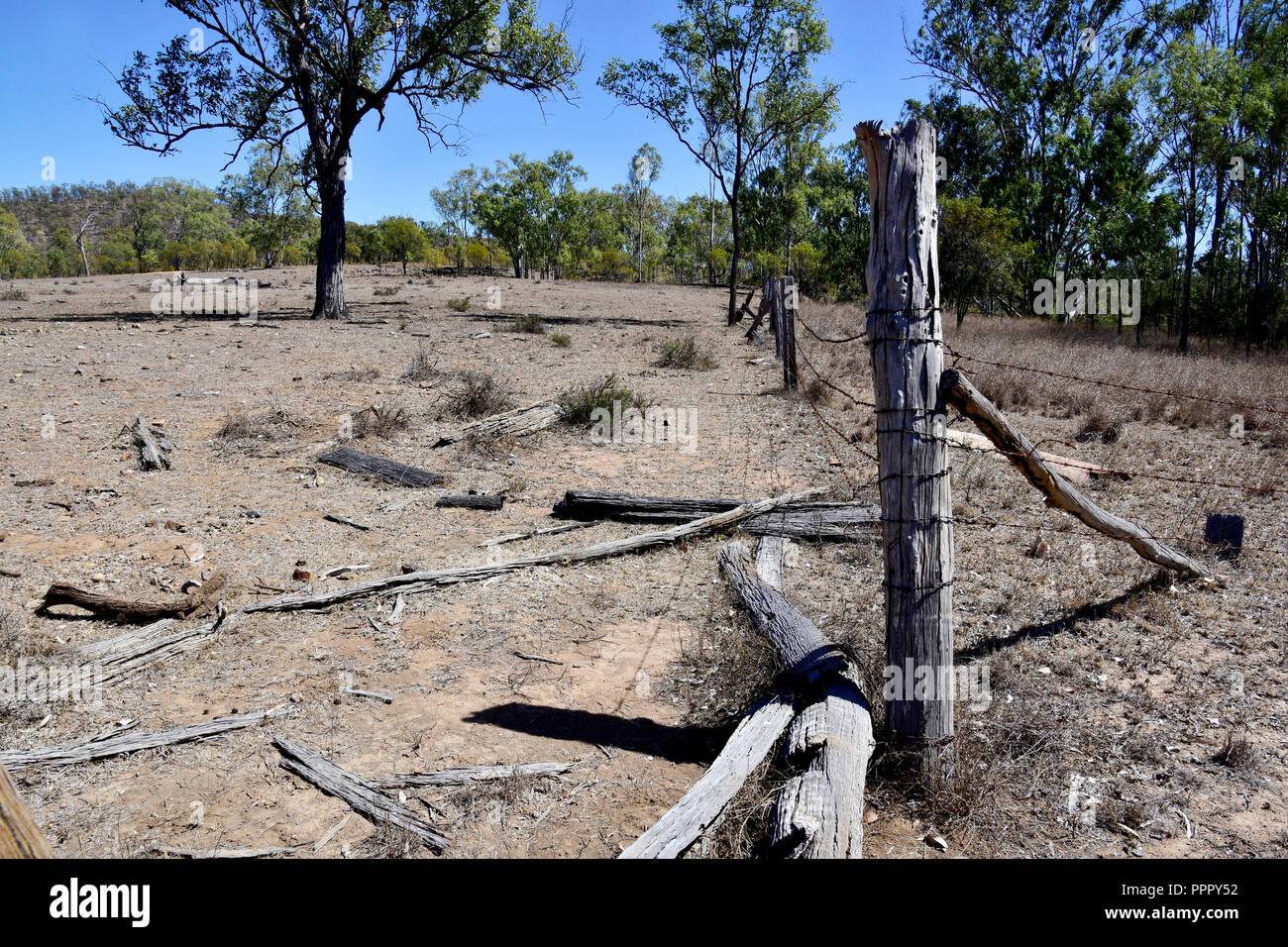Siccità IN AUSTRALIA Foto Stock