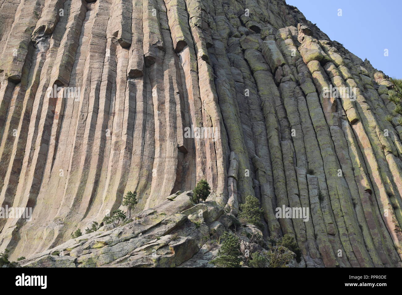 Meraviglia geologica delle rocce eruttive colonnari di roccia alla Devils Tower Foto Stock