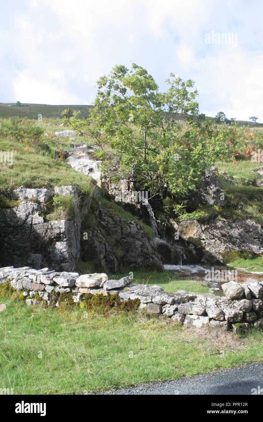 Yorkshire Dales Foto Stock