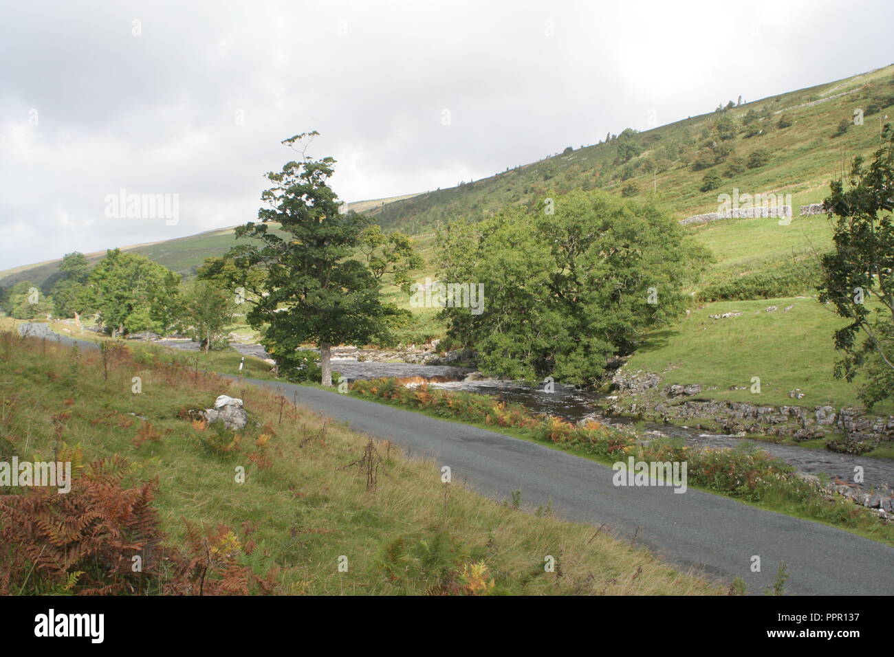 Yorkshire Dales Foto Stock