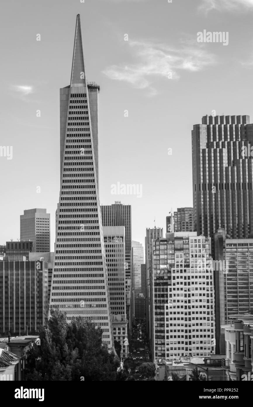 San Francisco è situata nella costa occidentale degli Stati Uniti nello stato della California Foto Stock