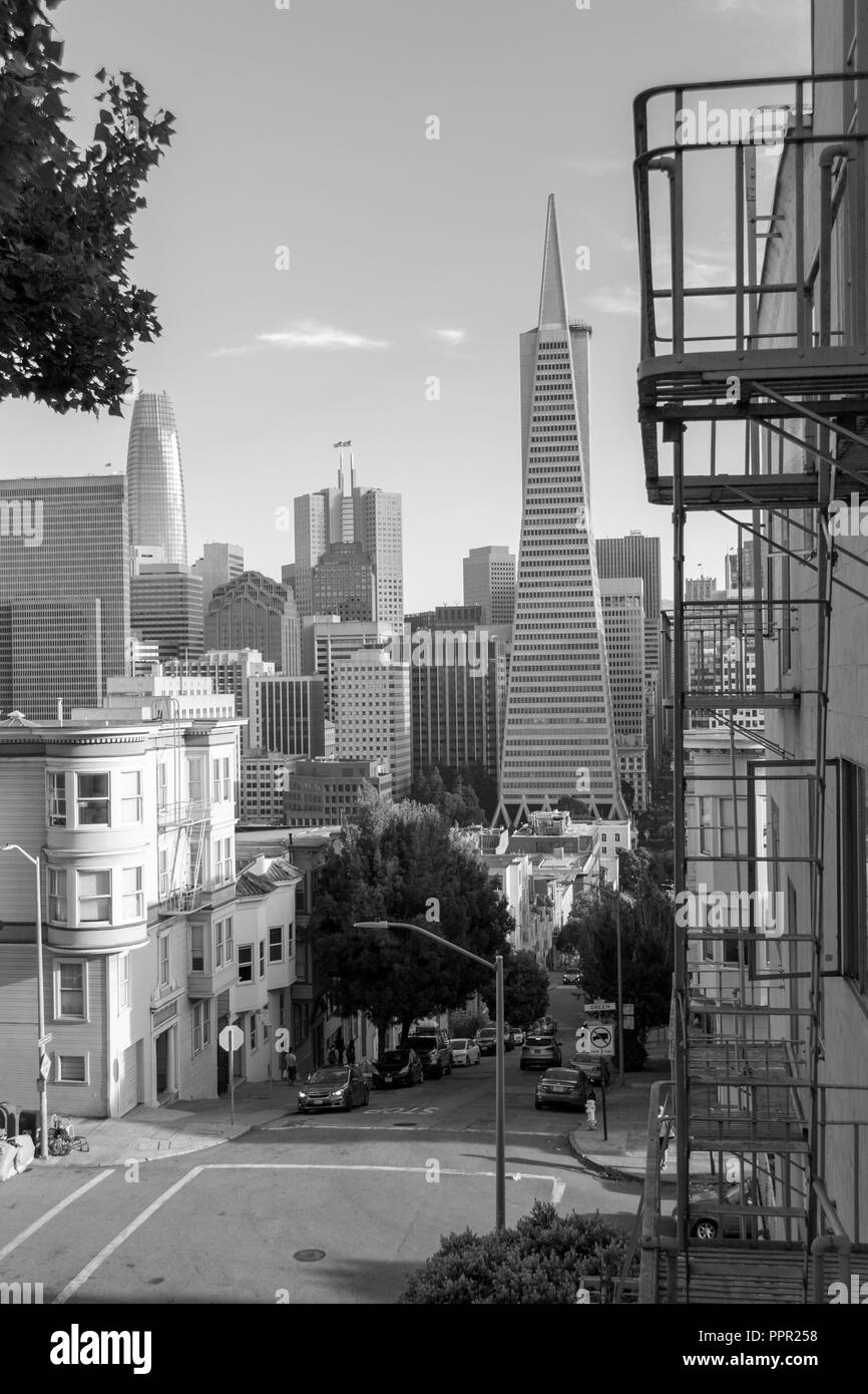 San Francisco è situata nella costa occidentale degli Stati Uniti nello stato della California Foto Stock