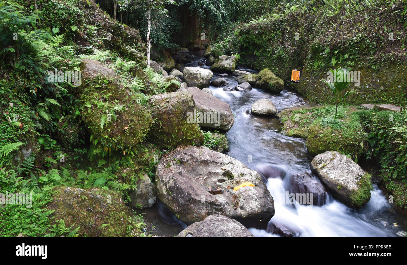 Flusso tributario della cascata Tegenungan Foto Stock