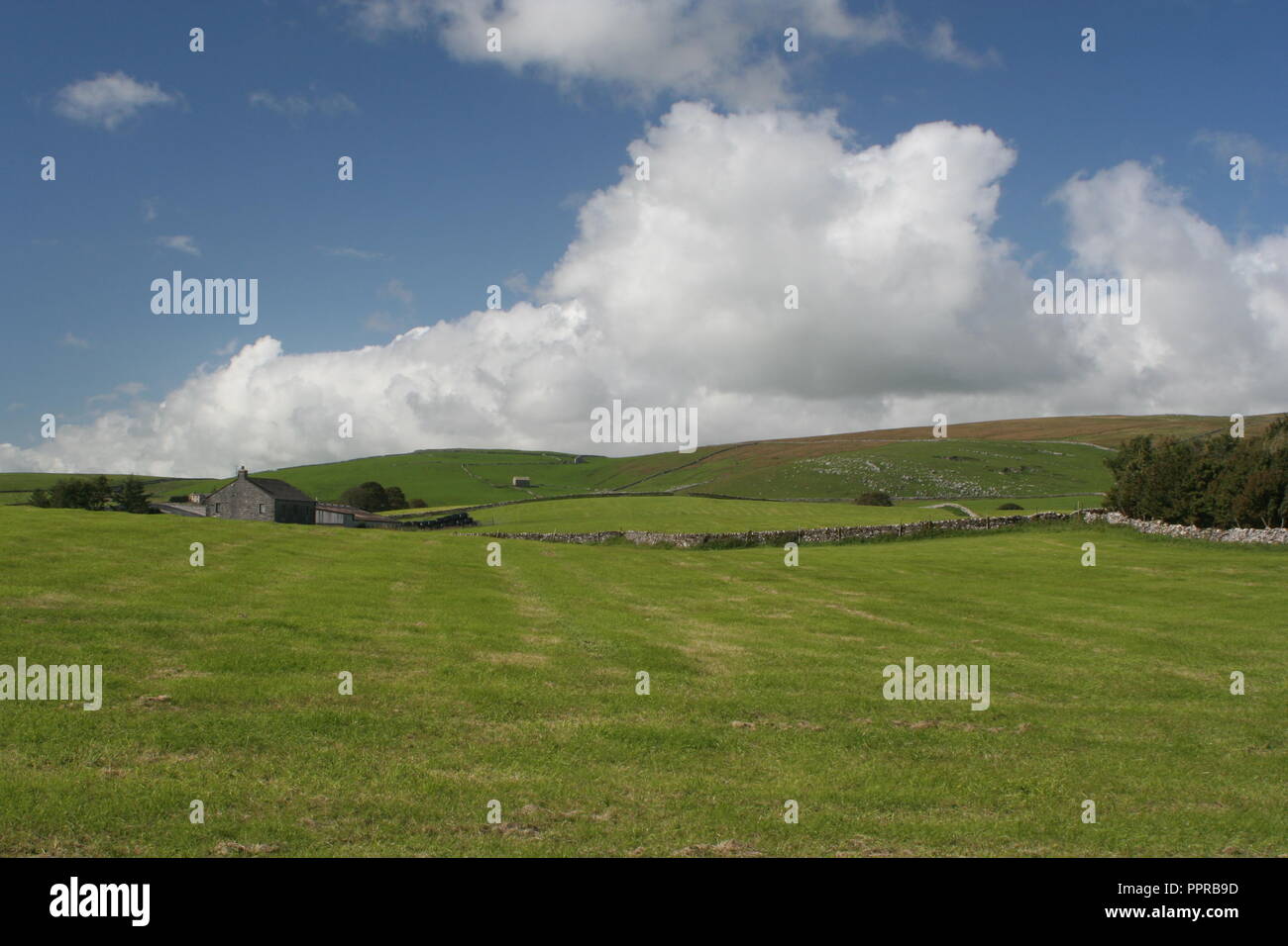 Yorkshire Dales Foto Stock