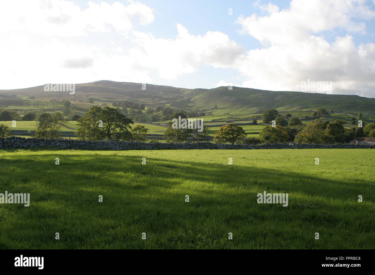 Yorkshire Dales Foto Stock