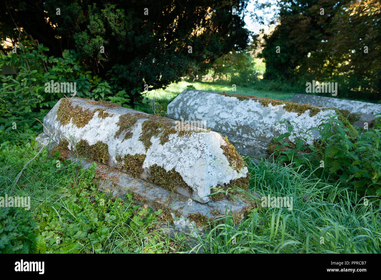 Bara di pietra a forma di tombe con il lichen presso Old St Leonards Chiesa, Sutton Veny, Wiltshire, Regno Unito Foto Stock