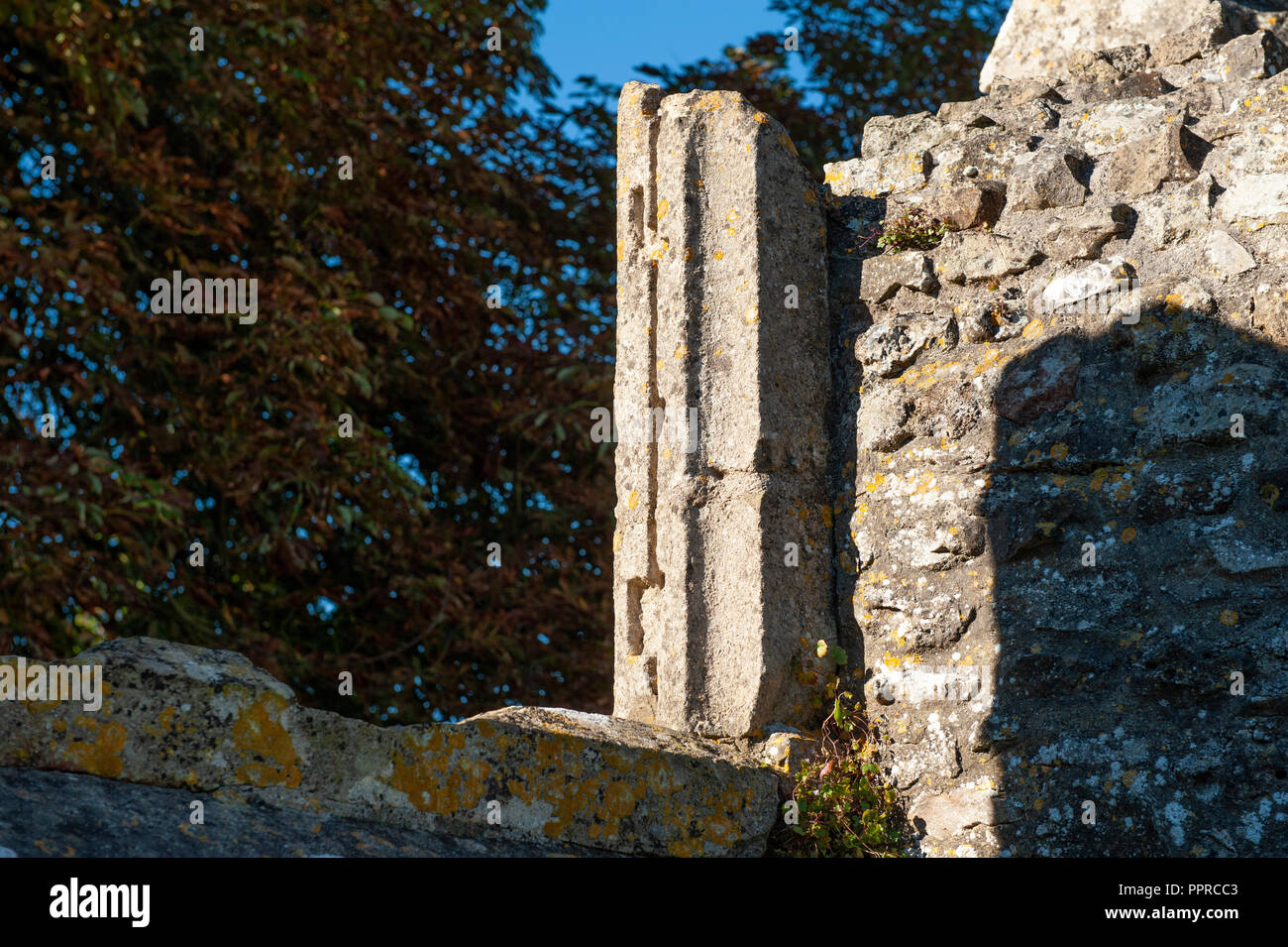 Old St Leonards Chiesa, Sutton Veny, Wiltshire, Regno Unito Foto Stock