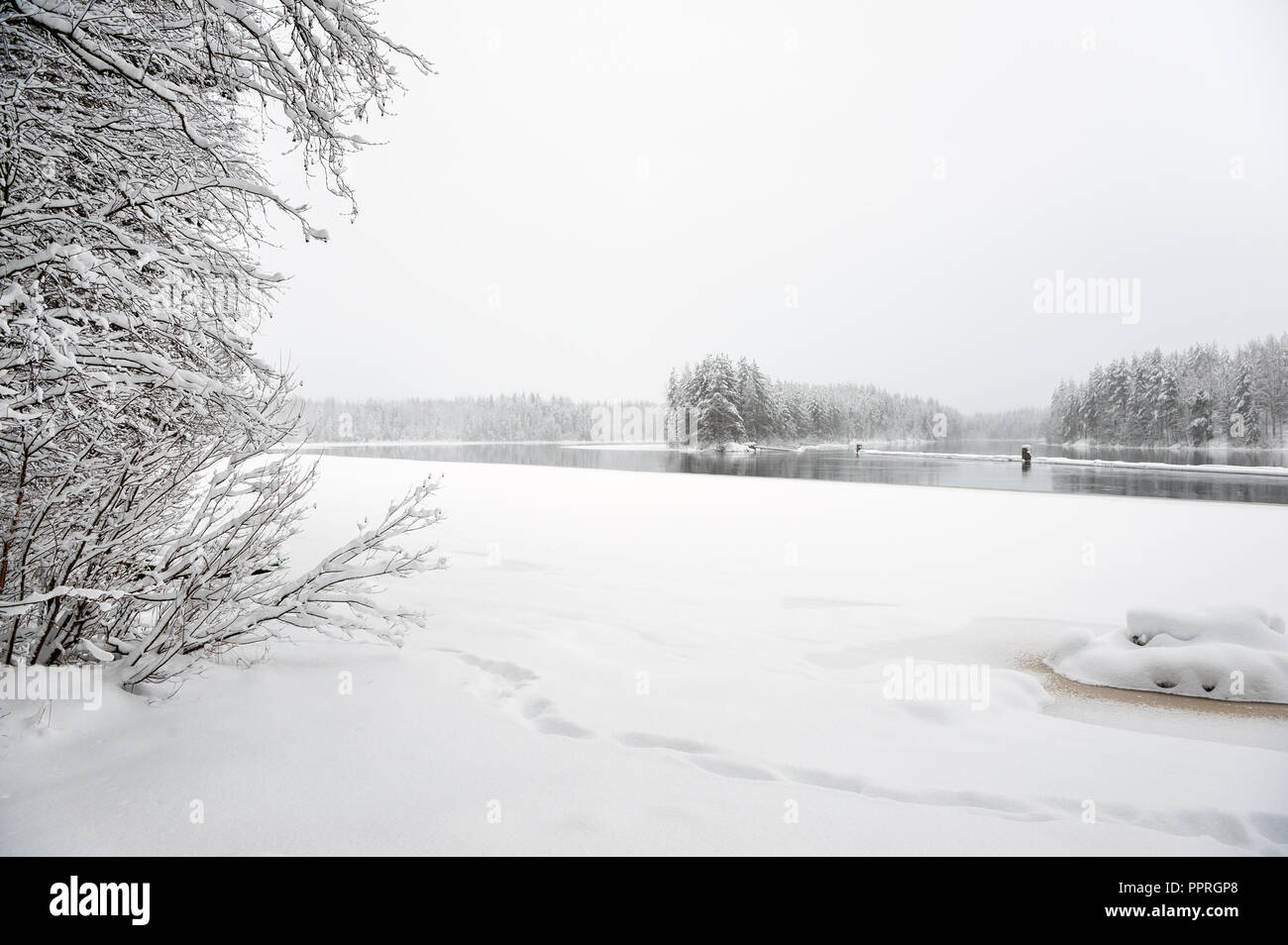 Fiume Pielisjoki fluente attraverso il paesaggio invernale in Finlandia orientale Foto Stock