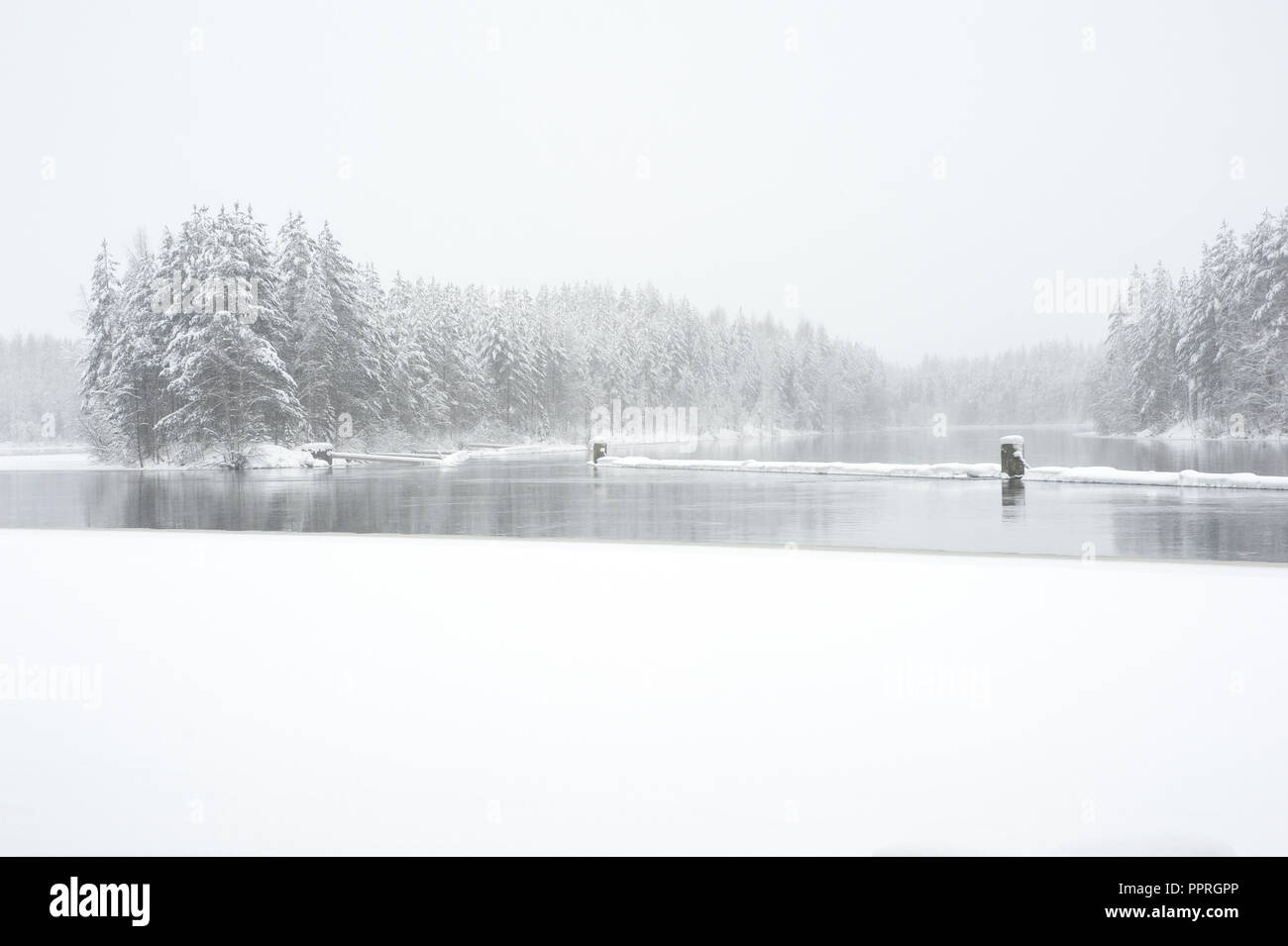 Fiume Pielisjoki fluente attraverso il paesaggio invernale in Finlandia orientale Foto Stock