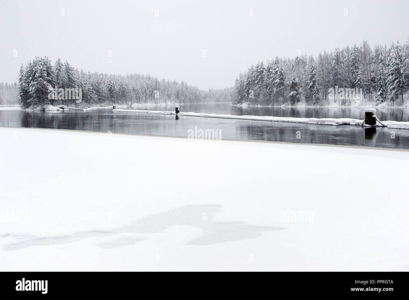 Fiume Pielisjoki fluente attraverso il paesaggio invernale in Finlandia orientale Foto Stock
