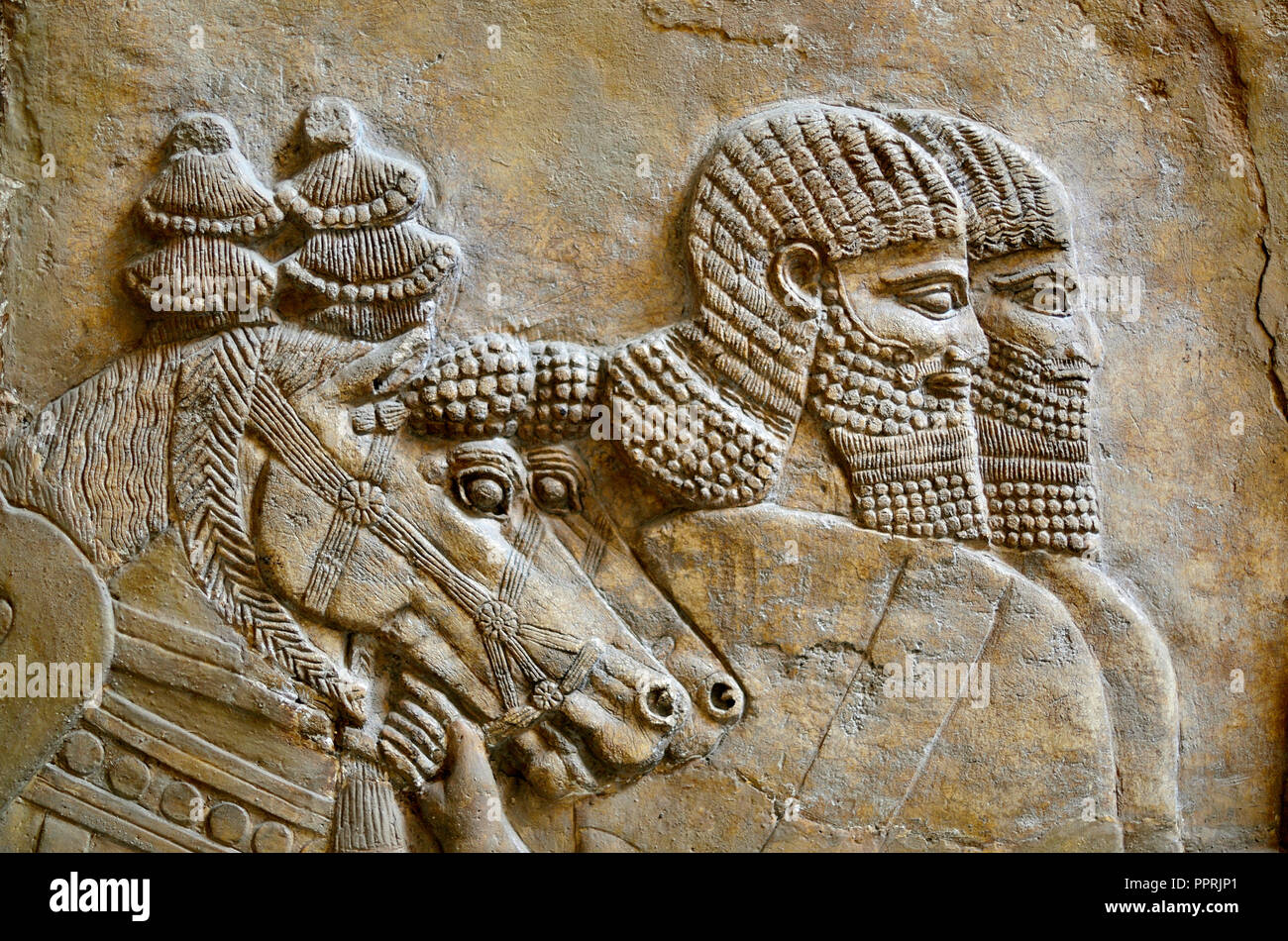 Dettaglio della pietra assira carving (725BC) Da Nimrud, palazzo centrale, mostrando un carro regale. British Museum, Bloomsbury, Londra, Inghilterra, Regno Unito. Foto Stock