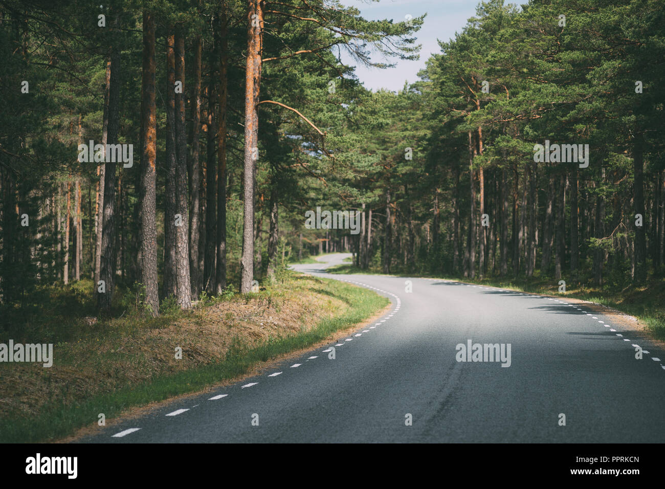 Svuotare tortuosa strada attraverso la paesaggistica la foresta di conifere, paesaggio nordico Foto Stock